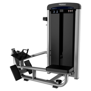 Commercial Gym Equipment Prodigy Elite Series: Row Machine