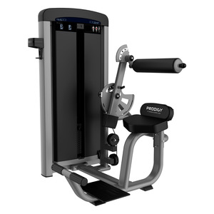 Commercial Gym Equipment Prodigy Elite Series: Back builder
