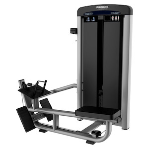 Commercial Gym Equipment Prodigy Elite Series: Row Machine