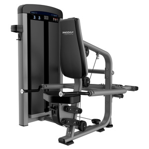 Commercial Gym Equipment Prodigy Elite Series: Tri-Cep Dip Machine