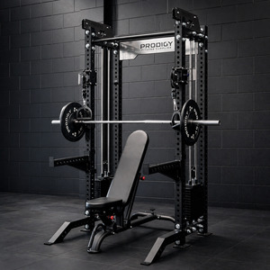 Home Gym Packages: Functional Trainer Home Gym - Stage 5