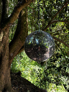 Products: Disco Ball - Large Gypsy & Co. EVENTS