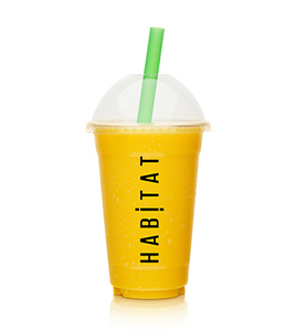 Protein Shake Smoothie 10 Pack