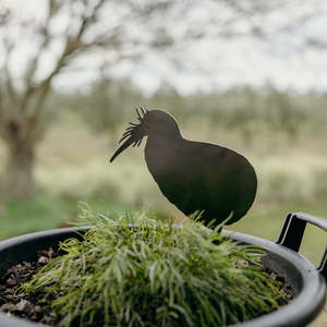 Gloria the Off-Duty Kiwi