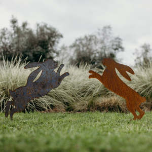 Boxing hares