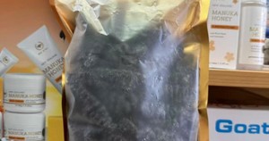 Products: 黑刺黄 30-40头左右 500g