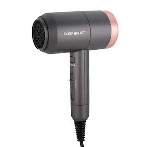 Styling Tools: Silver Bullet Odyssey Professional 1800W Dryer