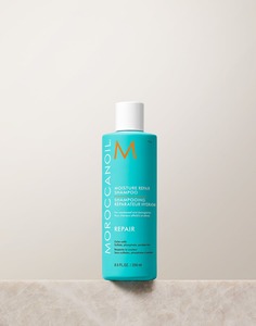 Mositure Repair Shampoo - Hair At Boston