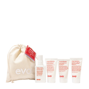Evo The Mane Introduction Repair Travel Pack