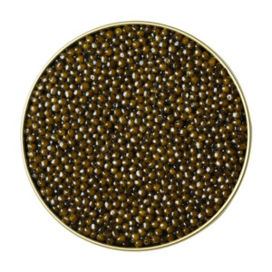 Imperial Oscietra - 30g - CAVIARMAFIA CAVIAR