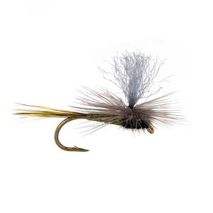 Category 3 Dead Cert (1/2 DOZEN)