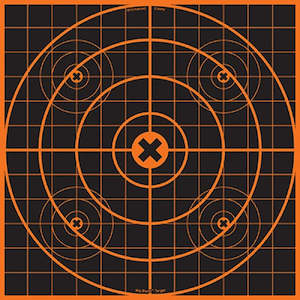Targets: Birchwood Casey Big Burst 12" Sight-In 3 Revealing Target