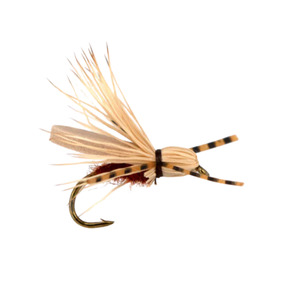 Five by Five - Category 3 Fly Company