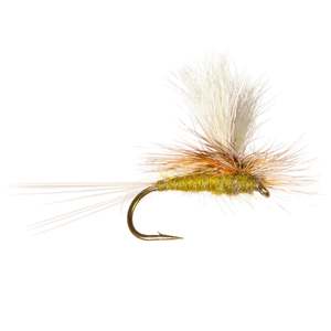 Category Three: Border Patrol (Olive) - Category 3 Fly Company