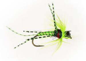 Category 3 Fly Company - Doshed Up