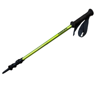 Masters Ranger Walking Pole