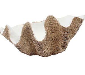 Living: Clam Shell Large