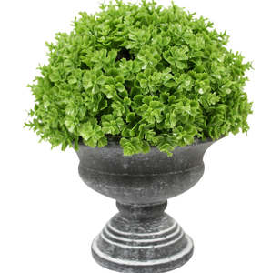 Living: Faux Formal Fern Moss