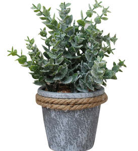 Gum Leaf Pot W/ Rope