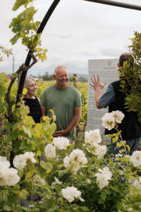 Bookable Experiences: Private Tour & Tasting