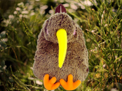 Frontpage: Kiwi Backpack