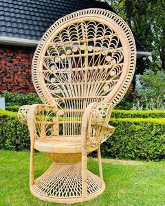 Products: Peacock Chair hire