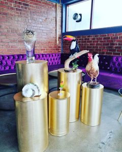 Products: Gold plinth set of 5 hire