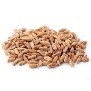 Products: Spelt Grain (whole kernel, hulled, organic, NZ) - 1kg