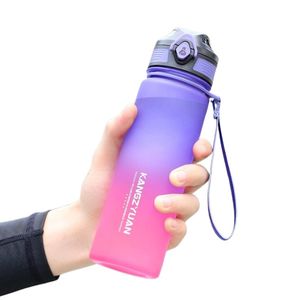 Water Bottle: Gradient Color Drink & Water Bottle 650ml