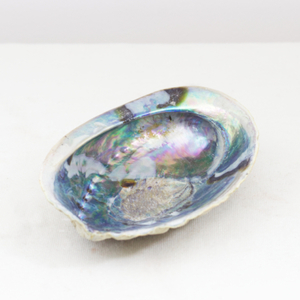 Products: Abalone Shell Happy Medium