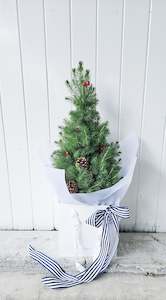 Miniature Christmas Tree Boxed