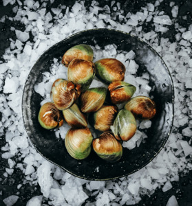 Products: Littleneck Clams Live 1 kg