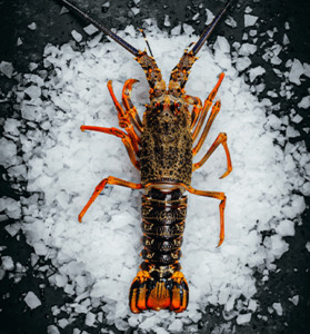 Products: Crayfish Whole Frozen
