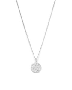 Capricorn Petite Zodiac Necklace - Silver