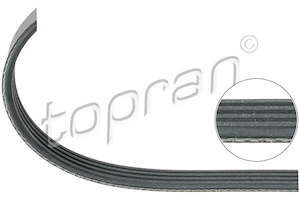 Timing Belts And Chains: V-RIBBED DRIVE BELT AUDI A4 BMW VW PASSAT 050903137B 64551727378 5750.80