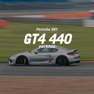 Tuning Packages8: 981 GT4 440 PACKAGE