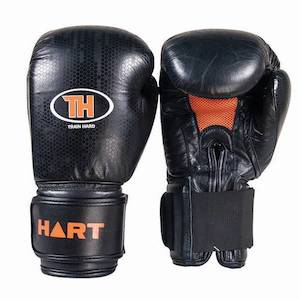 Boxing For Fitness: HART Train Hard Boxing Gloves