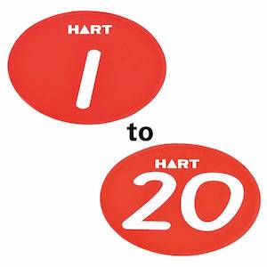 HART Numbered Disc Set of 20