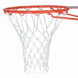 Backboards Rings Nets: HART Professional Net