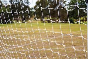 HART Folding Soccer Goal Spare Net - For 9-828