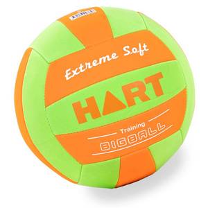 HART BigBall Volleyball