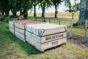 UV and Heat Reflective Fruit Bin Cover with Blackout Coating