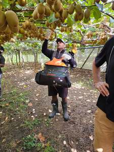 YieldLux Kiwi Fruit Picking Bags c/w Ergo Harness