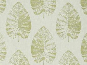 Laurie Fern Fabric