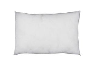 Cushion Inners: Duck Feather Pillow