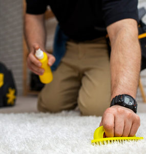 Products: EcoShine Carpet Cleaner Hasan Cosmetics New Zealand