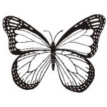 Hastings Art Stamps: Butterflies