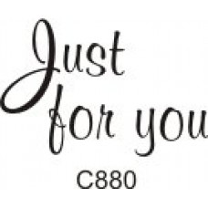 Just for You: C880 Just For You