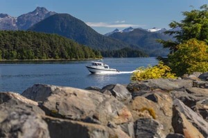 Milford Sound Day Trip: Tour & Return Shuttle Service