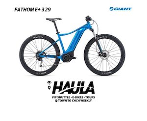 Products: Giant EBike - 1 FULL DAY 8 hours - HAULA Private Shuttle and BeSpoke Tours